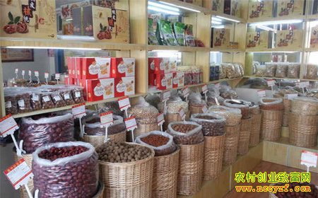 ������Ӫ�����꣺�ӱ����ؼֺ�ɳ�����ľ�Ӫ֮��