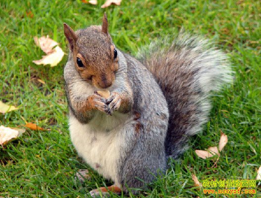 [ÿ��ũ��]�����³� �˹�ѱ������ǰ����