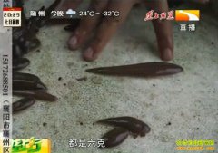 ¤��ũ��վ����������ֳˮ�θ�ͷ�� ��ɶ���ϣ�