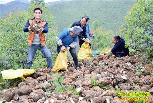 �������ף�������ֲ���߳�ũ���¸�����Ŀ