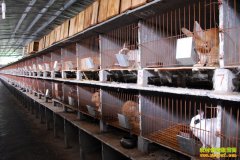 �����������ý㡱��С�������¸�