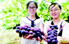 ���պϷ�1.1��Ķ������ֲ԰���οͿ��Ų�ժ