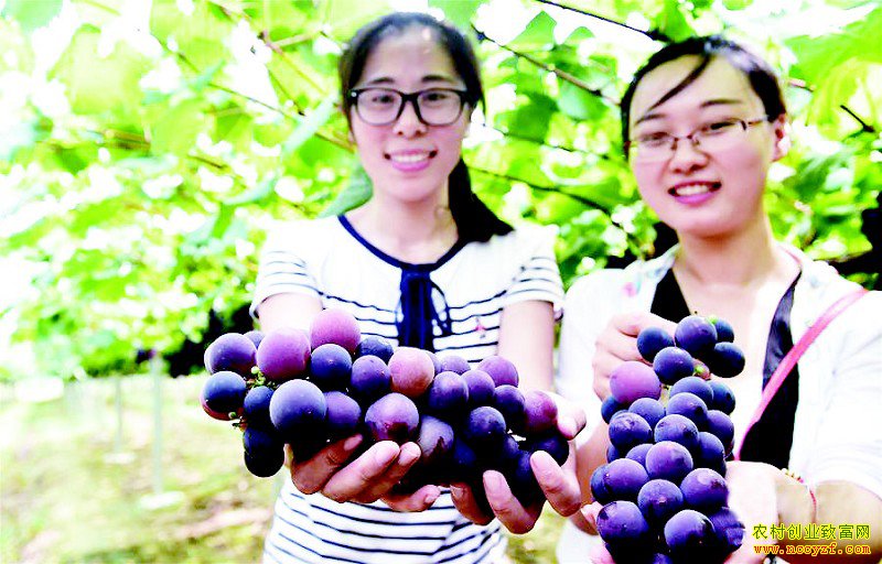 ���պϷ�1.1��Ķ������ֲ԰���οͿ��Ų�ժ