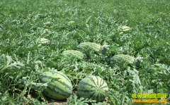 �������ݡ����ϴ���������Դ��������׬20��