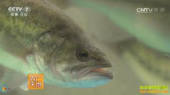 [ũ�����]��ں�����ֳ������Ƶ