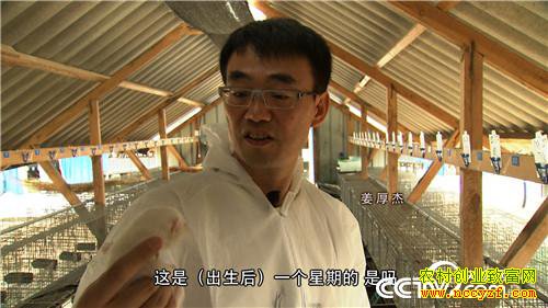 [�¸���]�������������һ���·���������Ԫ������ 20160808