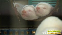 [�¸���]���������������ֳ�����ˮ���ӹ���Ƥ����2��