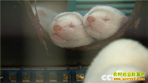 [�¸���]�������������һ���·���������Ԫ������ 20160808