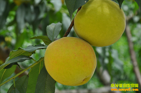 �������������������� 6������ÿ��25Ԫ