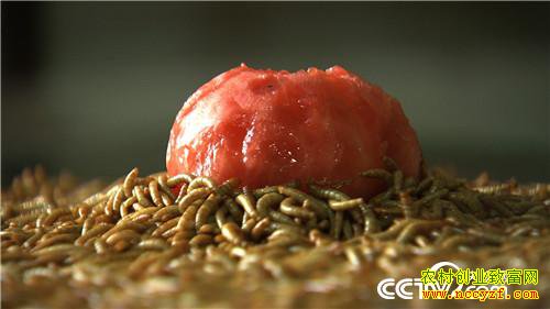 [�¸���]����ι�� ũ��ϱ��������Ƹ����£�20160812