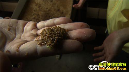 ����ι�� ũ��ϱ��������Ƹ�(�ϼ�)