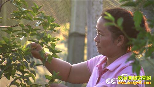 [�¸���]����������Т����ֳ�Ʒ۳�ι��������Ƹ����ϣ�