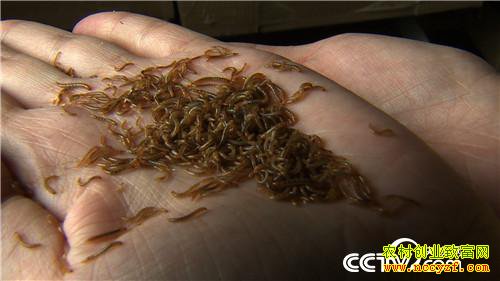 ����ι�� ũ��ϱ��������Ƹ�(�ϼ�)