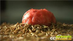 [�¸���]����������Т�����Ʒ۳�ι������׬200���£�