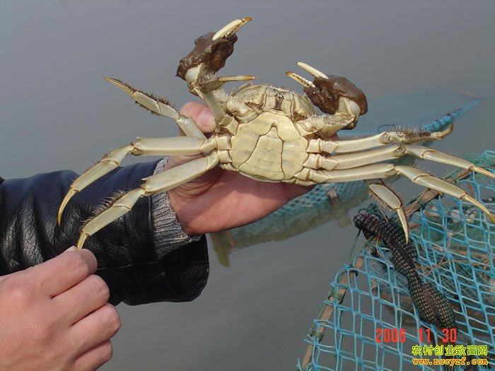 2016���°����з�۸����鼰�г�����ר��Ԥ��