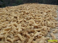 �������Ǯһ�2020��11��29����������۸�����