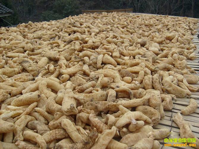 ���������������۸�����