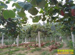 ����μ��ʱ����⨺���������������̬����Ч���