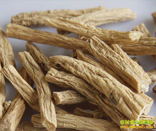 ���൳�μ۸�����