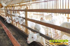 �Ĵ���ͤ���зɽո���������70����Ԫ