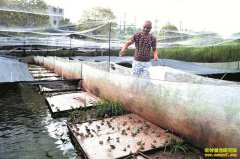 �Ĵ����ء��������ӡ��±���׼�̻���������׬����