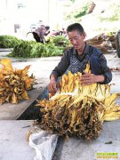 �Ĵ��������ȵ���ֲ����������12��Ԫ