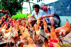 ���Ƽ���ֳ����Ҫ��