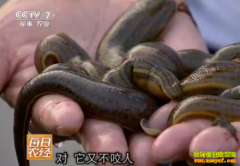 [ÿ��ũ��]ˮ�����ص�ˮ��ˮ�κ����Ƹ�