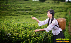 �������������ֲ贴ҵ�¸�����