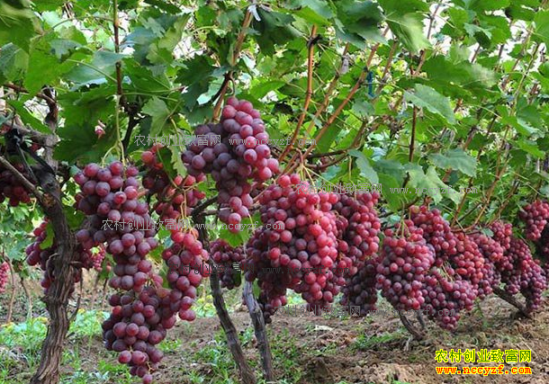 ����������ֲ������� ���Ѽ۸��µ�