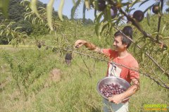 �Ĵ�������Сƽ������ֲ�����������36��Ԫ