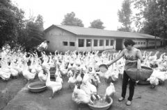 ���շ����캬����ֳ�׶�����������10����