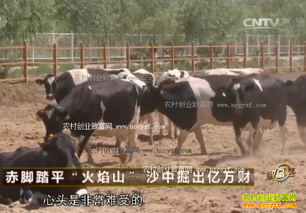 [�¸���]Ҧͬɽ���̤ƽ������ɽ�� ɳ�о�������