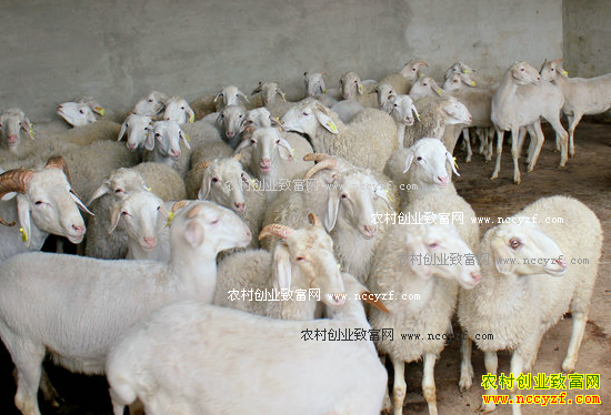 ����ƽ��ɽʯ����ɽ�ߴ���������򷢡��򡱲�