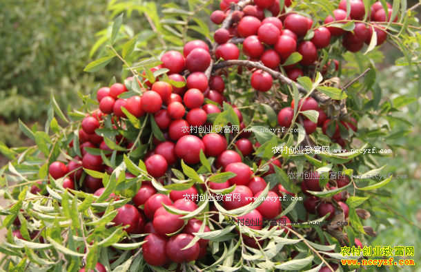 ����ƽ�ȣ��˹�����ŷ������¸�ÿ��������һ�ٶ�