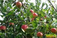 ɽ���޳���λ���ᴴ���ֹ����ֳ�������