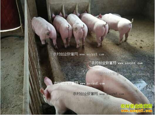 ��������������������׬100��