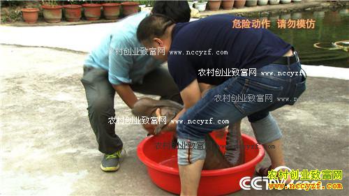 �۸񱩵� �����������������׬Ǯ