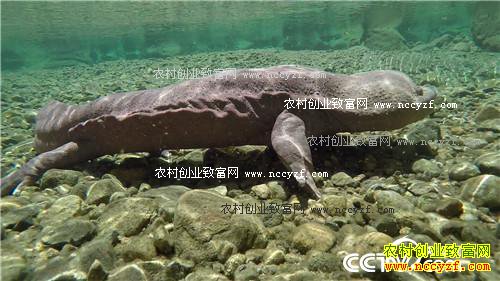 �۸񱩵� �����������������׬Ǯ