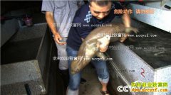 [�¸���]�㽭��Ȫ��־����ֳ�������������׬Ǯ