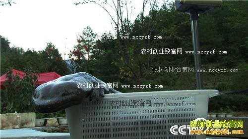 �۸񱩵� �����������������׬Ǯ