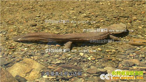 �۸񱩵� �����������������׬Ǯ