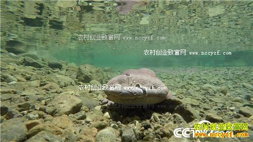 �۸񱩵� �����������������׬Ǯ