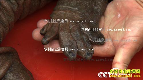 [�¸���]�㽭��Ȫ��־�����������������׬Ǯ