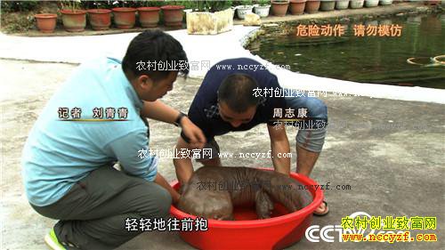 �۸񱩵� �����������������׬Ǯ