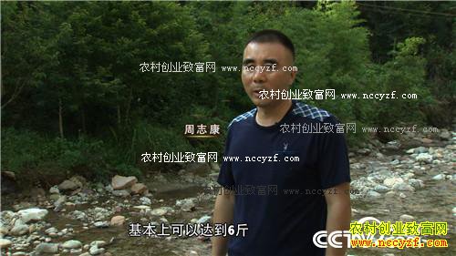 [�¸���]�㽭��Ȫ��־�����������������׬Ǯ