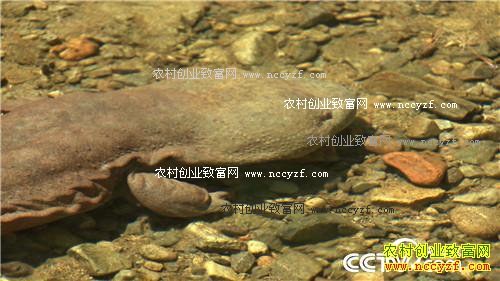 �۸񱩵� �����������������׬Ǯ