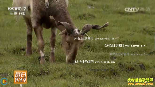 [ÿ��ũ��]�ؾ��̻� ����������ĲƸ�