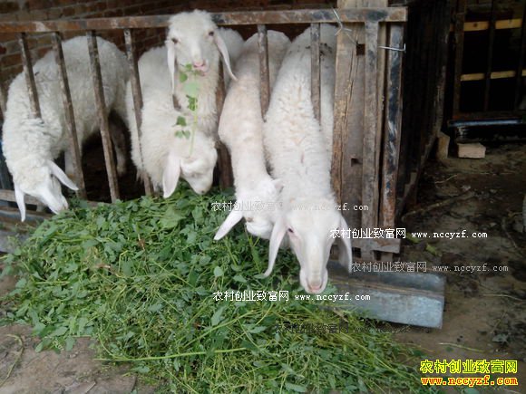 ���໷����ѧ�����ϼ������������30����Ԫ