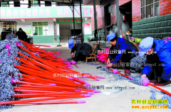 ɽ���������կ���ӹ��ϰѳ�ũ���¸�����Ŀ